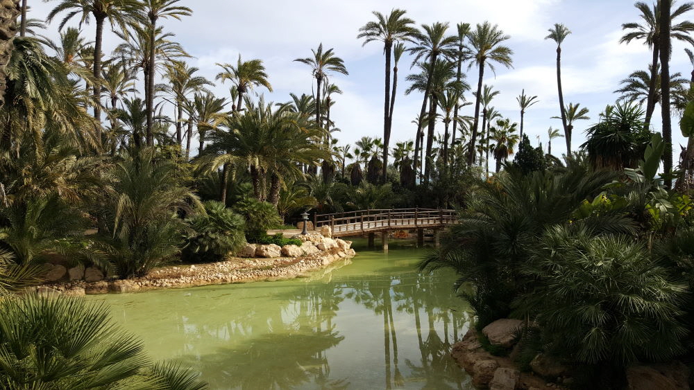 El Palmeral